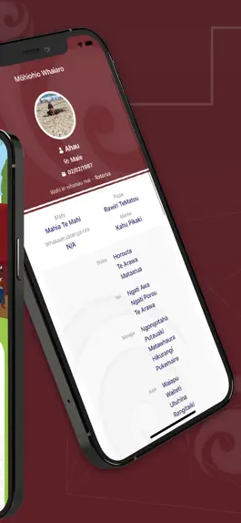 Game screenshot Taku Tūrangawaewae apk