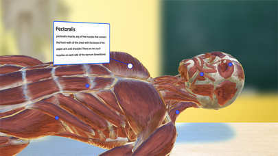 Augmented Reality Viewer Screenshot