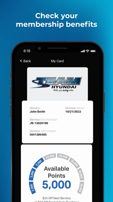 Team Hyundai Advantage Screenshot