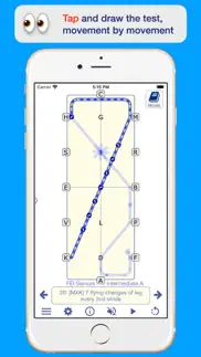 fei dressage iphone screenshot 4