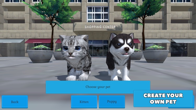 Cute Pocket Cat And Puppy 3D