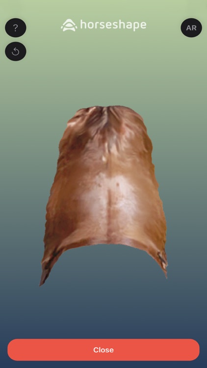 horseshape smart3Dscan