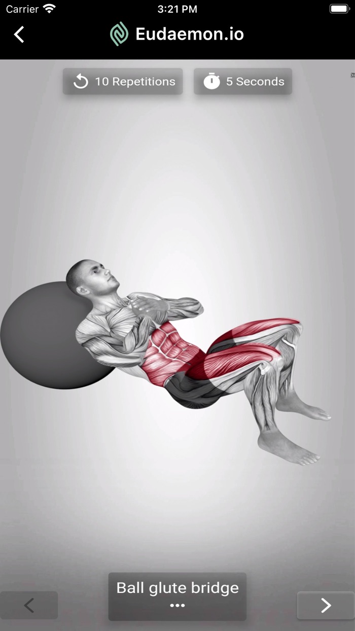 Eudaemon.io - Physiotherapy