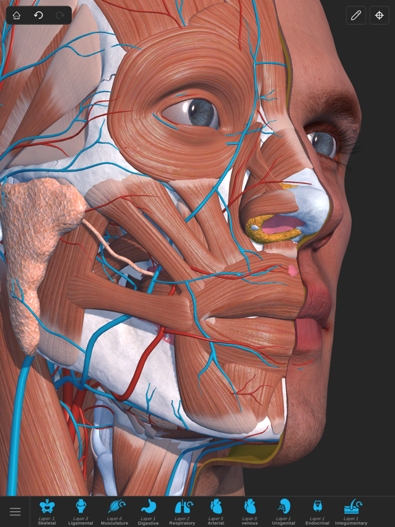 Visual Anatomy 3D - Humanのおすすめ画像10