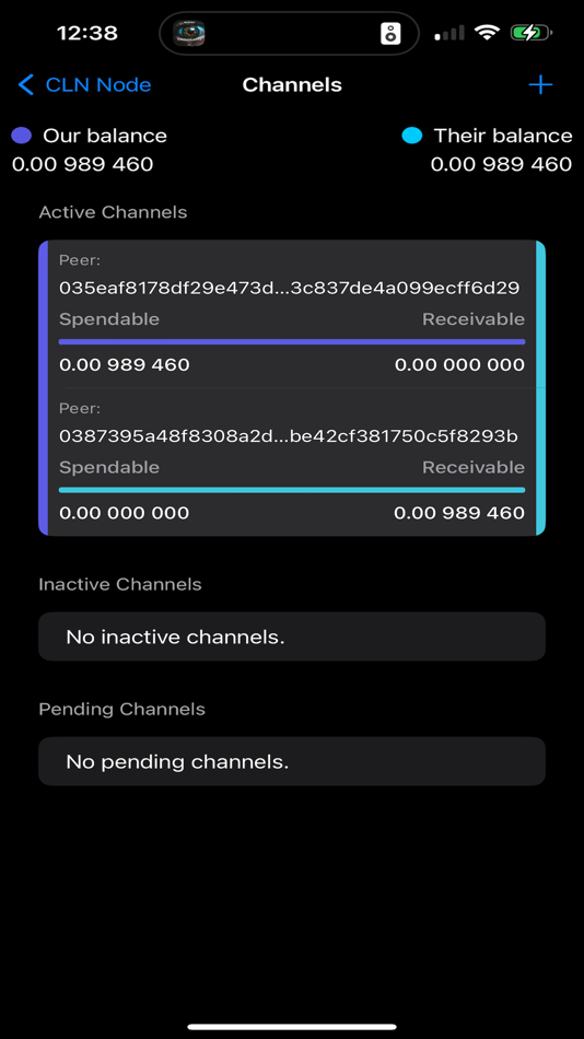 #3. Plasma - Core Lightning Wallet (iOS) Door: Denton LLC