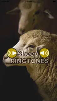 sheep sounds ringtones iphone screenshot 1