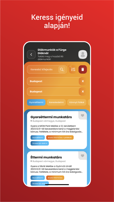 Fürge Diák Iskolaszövetkezet Screenshot