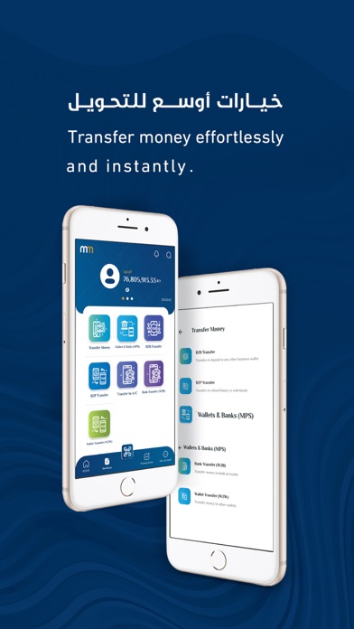 Mobile Money Business Screenshot