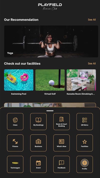 Playfield Premium Club Screenshot