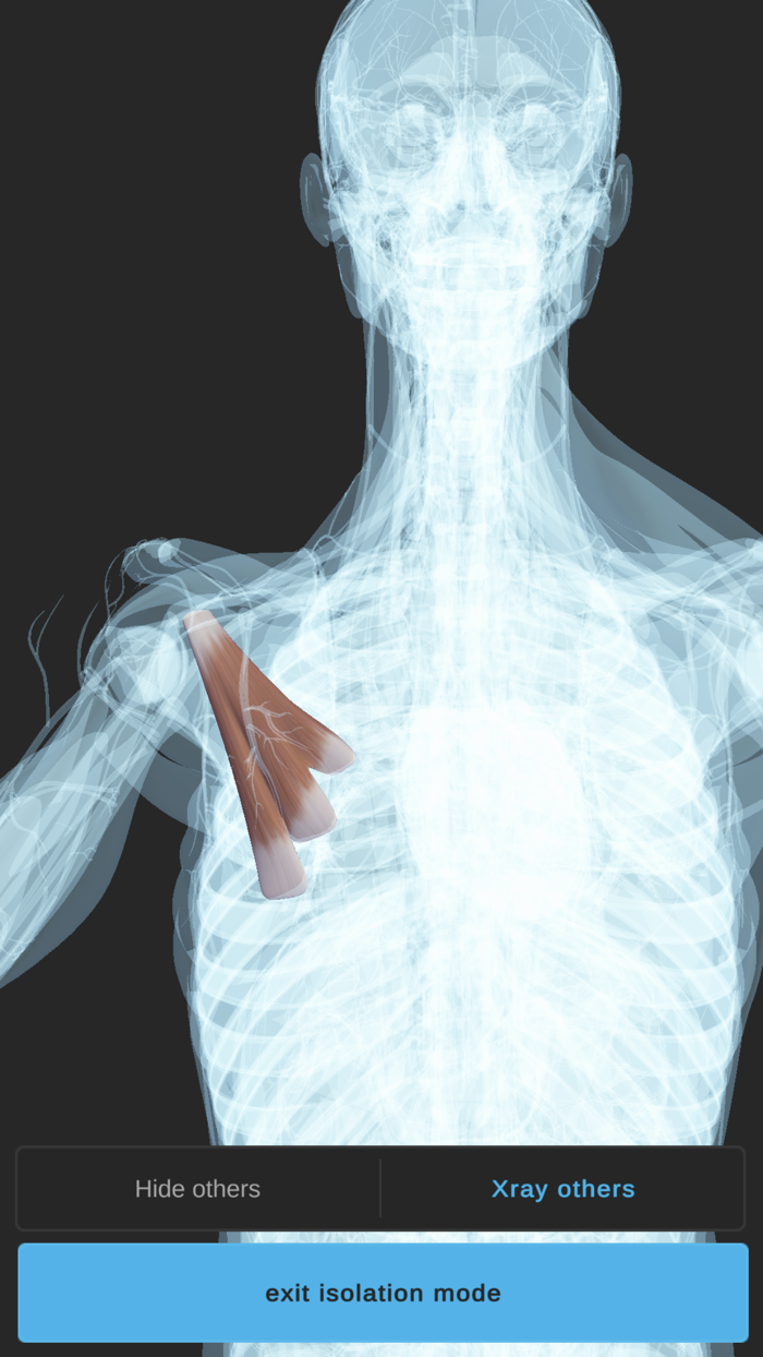 Visual Anatomy 3D - Human