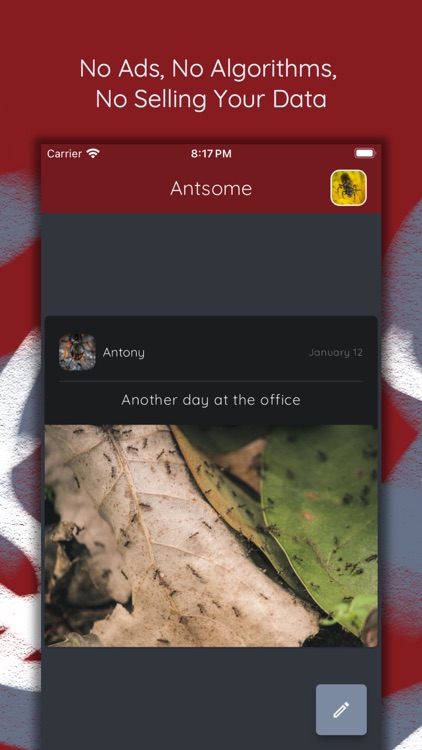 Antsome