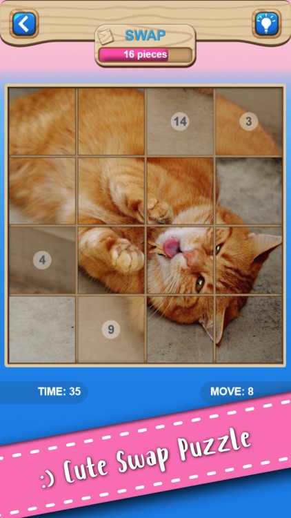 Cute Kitten Cat Jigsaw Puzzle screenshot-4