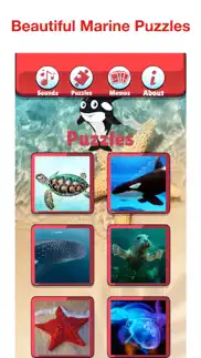 angry shark: sea animal games problems & solutions and troubleshooting guide - 2