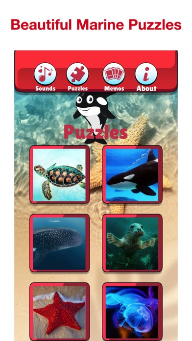 Angry Shark: Sea Animal Games Screenshot