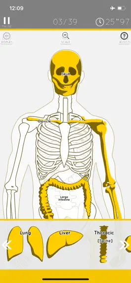 Game screenshot Enjoy Learning Anatomy puzzle mod apk
