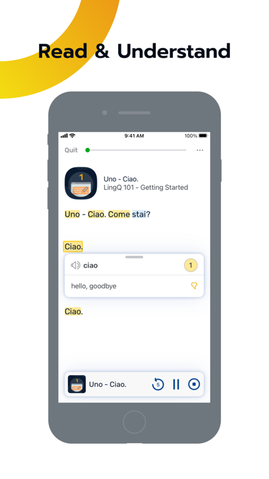 Learn Italian/Imparo Italiano Screenshot