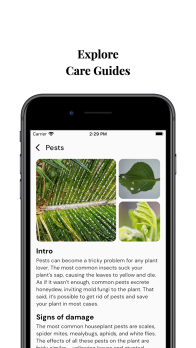 AI Plant Disease & Care Screenshot