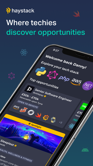 Haystack - Tech Job Search Screenshot