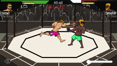 MMA Legend Online Fighter Screenshot
