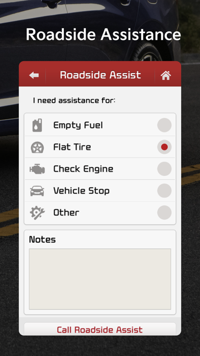 Kia eServices Screenshot