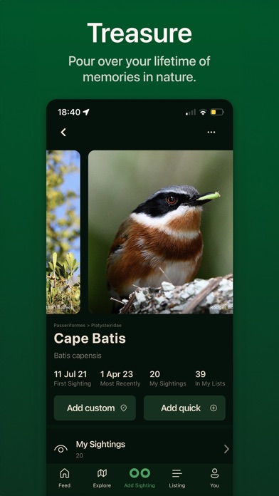 Bïndo Birding Screenshot