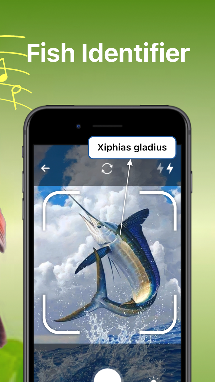 Bird Song Identifier Sounds ID