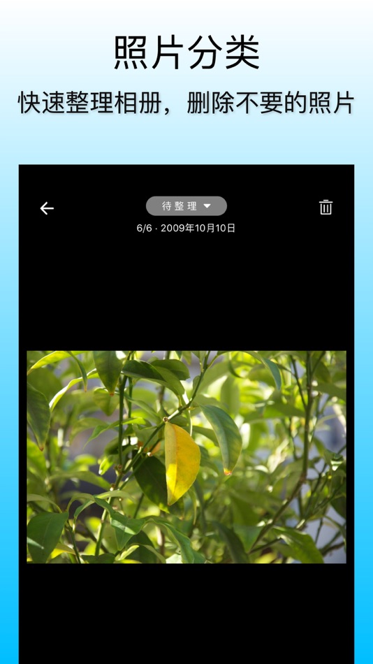 #3. 小鲸鱼-简单强大的工具APP (iOS) Tekijänä: 深圳市书沫科技有限公司