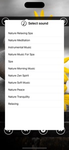 Relaxing Spa : Massage Music screenshot #3 for iPhone