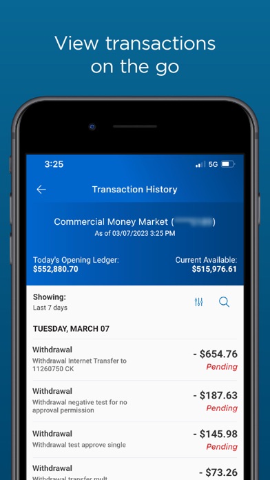 CSB Business Mobile Banking Screenshot