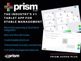 Game screenshot Prism Plus Tablet mod apk