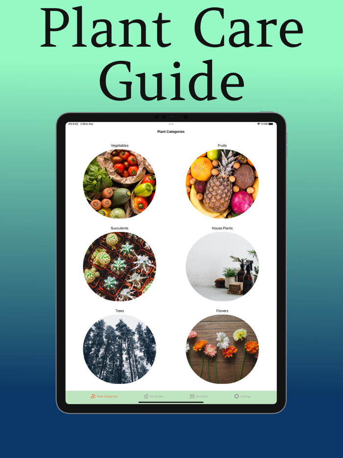 Plant Care Guide and Tips