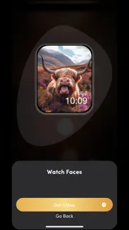 watch faces gallery + widgets iphone screenshot 4