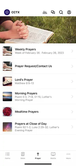 Game screenshot Cypress Chapel hack