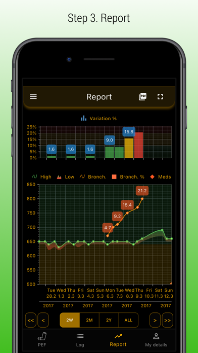 Peflog - asthma tracker Screenshot