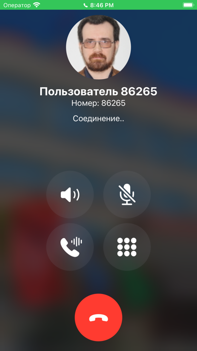 VoIP MEPhI Screenshot