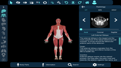 Vesalii Anatomy Inst Student Screenshot