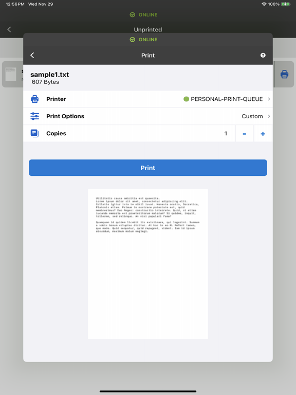 Screenshot #5 pour VPSX Print