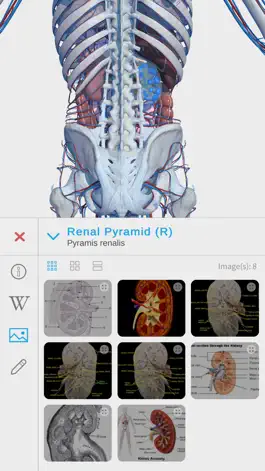 Game screenshot Visual Anatomy 3D - Human hack