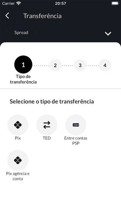 PSP Tech Bank screenshot-3