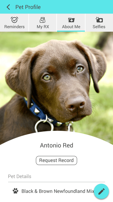 Stone Ridge Veterinary Medical Screenshot
