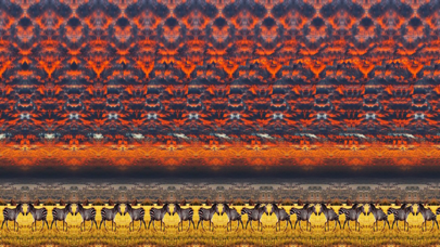 Mystereogram Screenshot