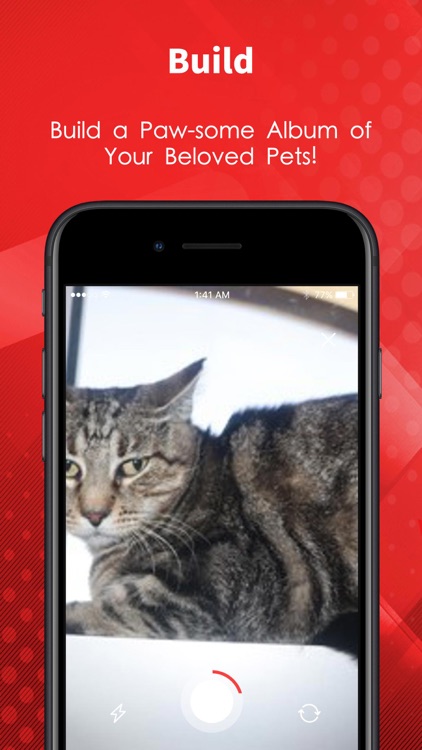 CatClan screenshot-3