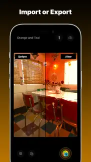 orange and teal, preset camera iphone screenshot 3