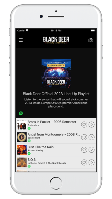 Black Deer Festival Screenshot