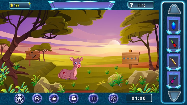 Animal Forest: Island escape