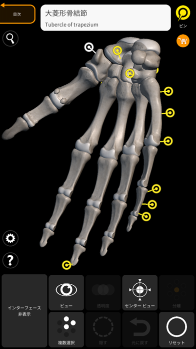 骨格 - 解剖学3D アトラスのおすすめ画像4