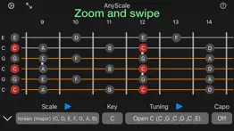 anyscale - tunings & scales iphone screenshot 4