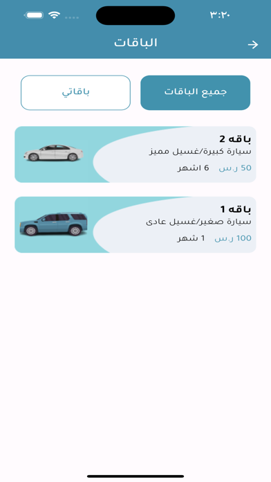 PurenesS car wash Screenshot