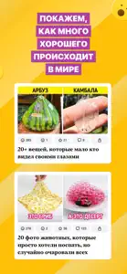 AdMe – Сделаем этот мир добрее screenshot #4 for iPhone