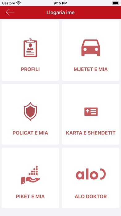 SIVIG Screenshot